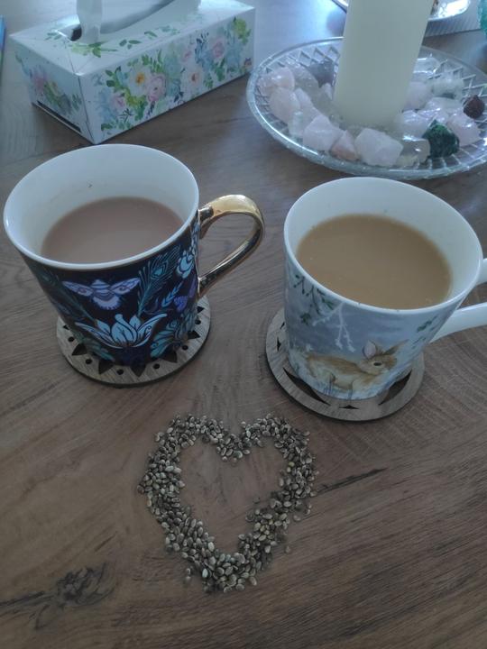 Rastlinné mlieka domáca výroba KONOPNÝ NÁPOJ