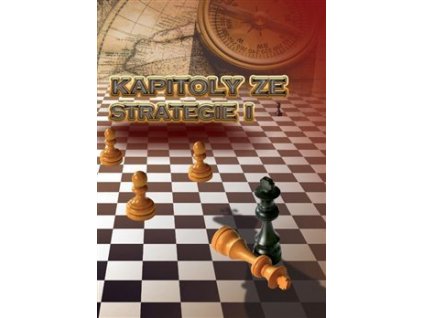 kapitoly ze strategie i