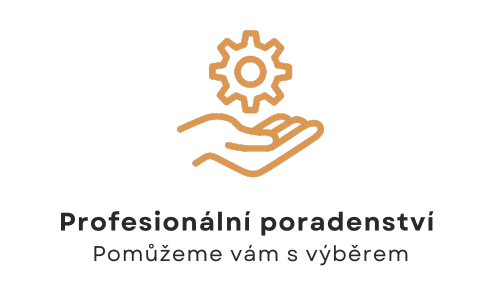 Profesionální služby