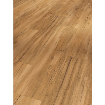 Parador Basic 5.3 Dub Memory přírodní Kartáčovaná struktura 1743003