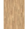 Parador Basic 11-5 Rustikální Dub Přírodní olej bílý 1518248