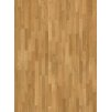 Parador Classic 3060 Přírodní Dub Lak matný 1518101