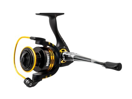 Delphin HORNET 20 / 3+1