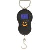 ap vaha fishing digital scales 40kg