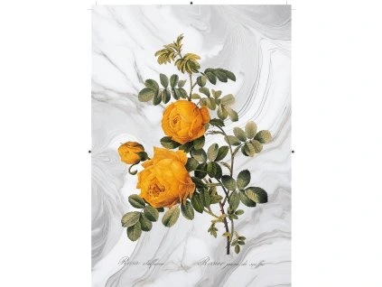 růže žlutá mramorová