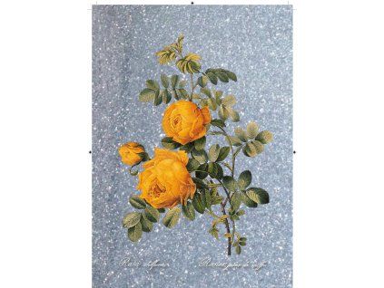 Rosa Sulfurea modro stříbrná