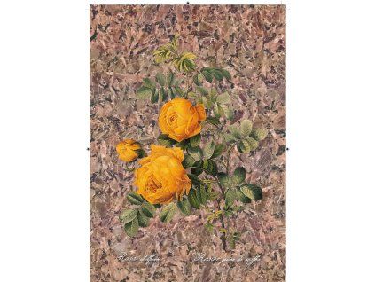 Rosa Sulfurea nepravidelná hnědo černá