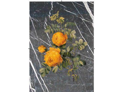 Rosa Sulfurea černobílá mramorová