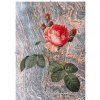Rosa Centifolia nepravidelná modro oranžová