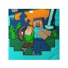 44098 1 detske povleceni minecraft alex a steve detail