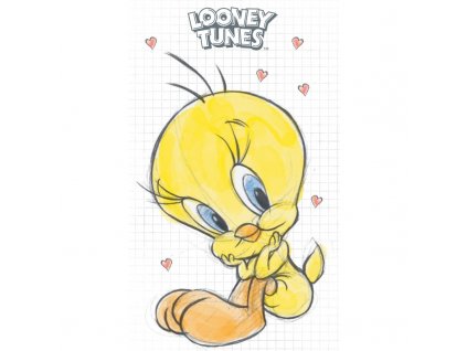 Dětský ručník Tweety bílý 30x50 cm