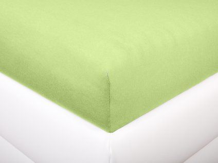 Aaryans Jersey prostěradlo pastelově zelené