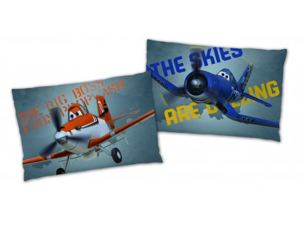 PLANES OWN ON THE SKY coussin 28x42