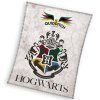 Dětská deka Harry Potter Famfrpál 130x170 cm