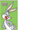 Dětský ručník Bugs Bunny 30x50 cm