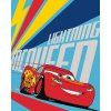 Dětská deka CARS 3 001, 120 x 150 cm