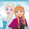 Ręcznik magiczny 30x30 Frozen 054 EAN 5907750548613