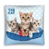 Polštář DISNEY CAT 05 3D 40x40 cm