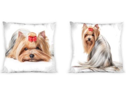 5731 1 polstarek jorksirsky terier 40x40cm