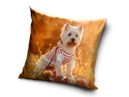 p464447p dekoracni polstarek westik na vylete pnl201042 1 1 351548