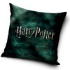 Povlak na polštářek Harry Potter Magic 40x40 cm