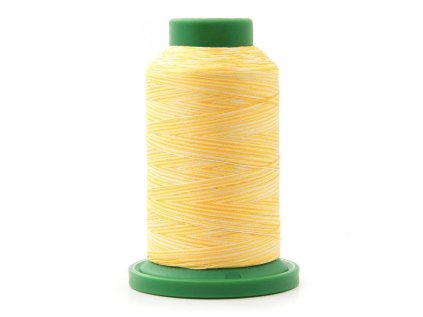 9925 - multicolor - vyšívacia niť ISACORD