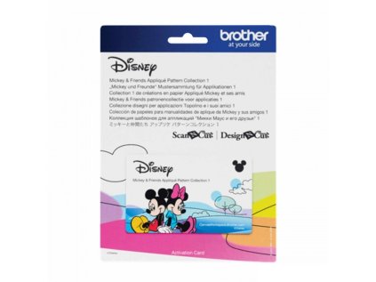 Karta so vzormi  DISNEY aplikáciami