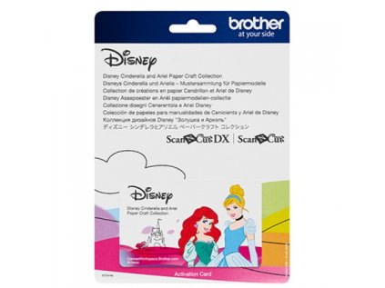 Karta so vzormi DISNEY ARIEL