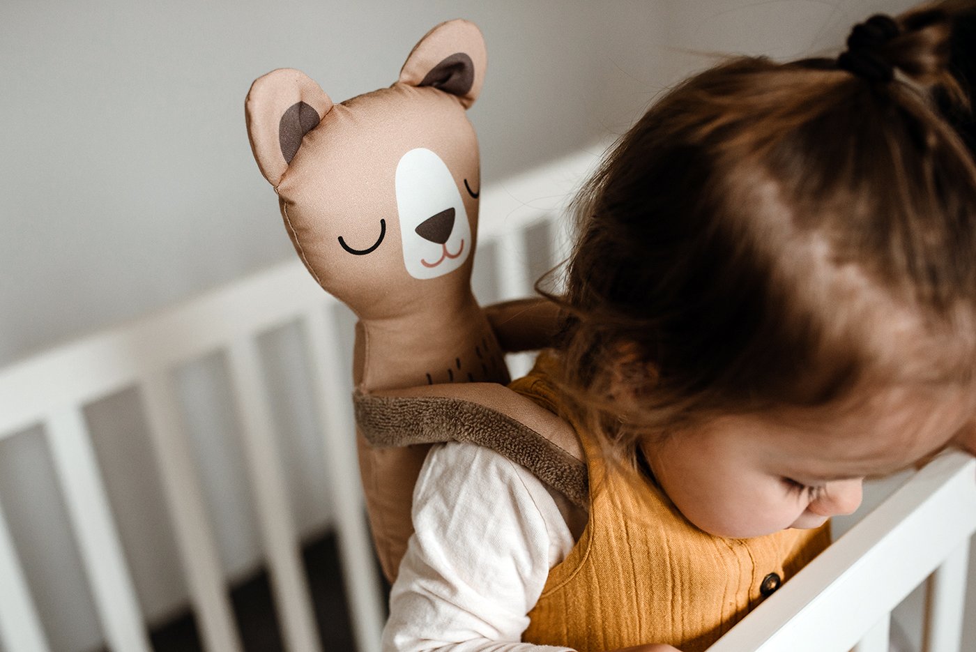 Kde se vzal název Teddy Bear?