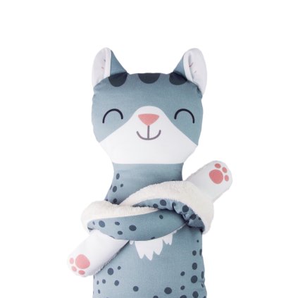 kamarad hlavni kocka2