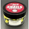 Snails wafters Blueberry