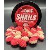 Snails wafters Maulbeere