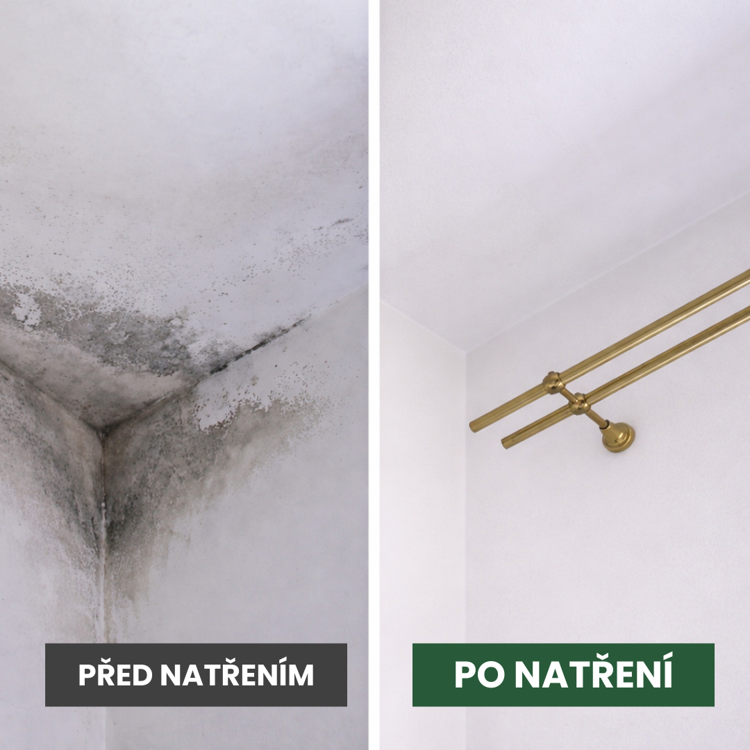 Jak vybrat účinný přípravek proti plísni na zdi a vyřešit problém natrvalo