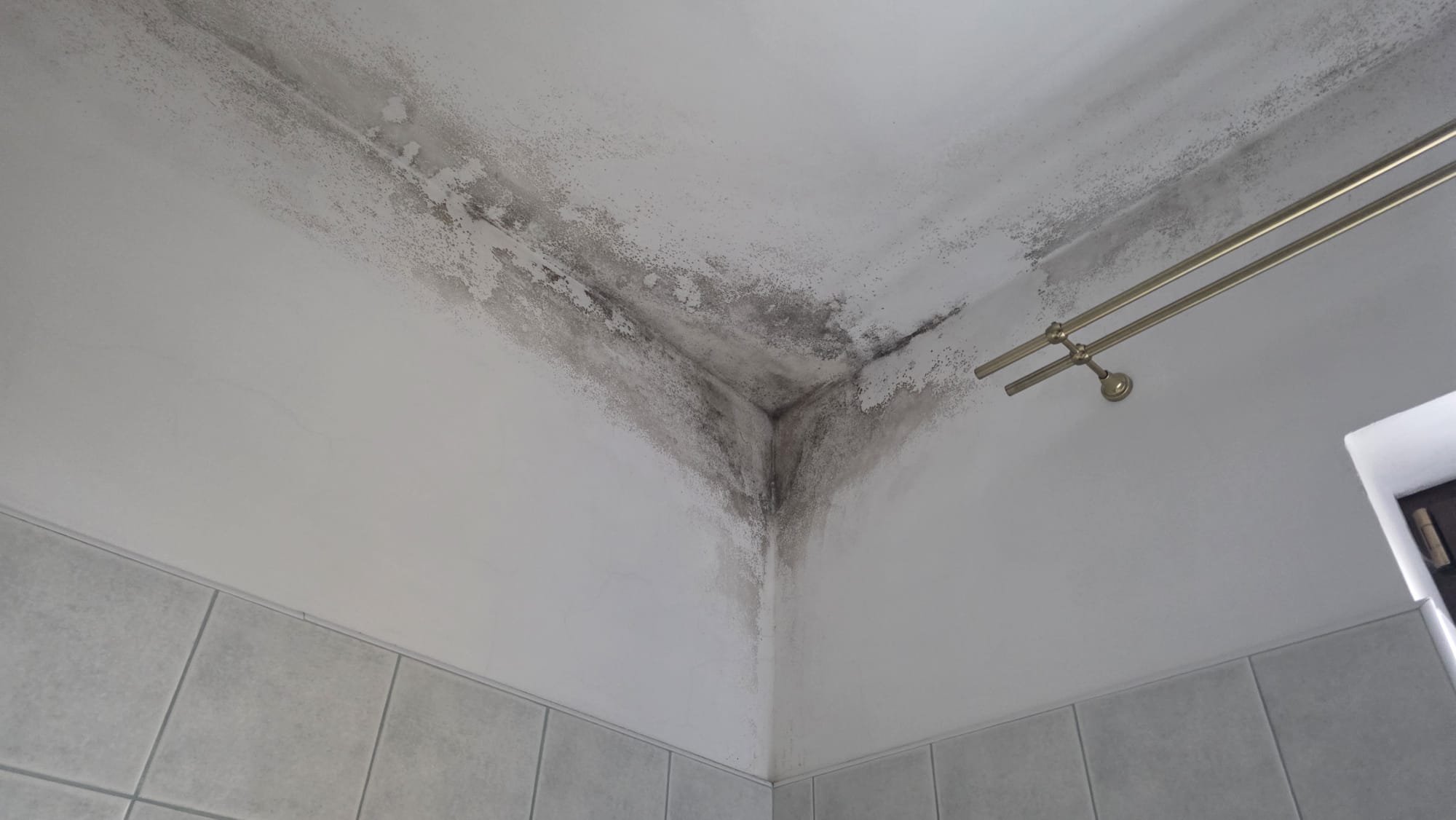 Sanace koupelny: Jak jsme vyřešili plíseň z tepelného mostu nátěrem ABAMAL