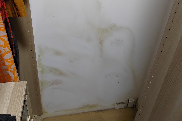 Likvidácia plesne na stene v šatni