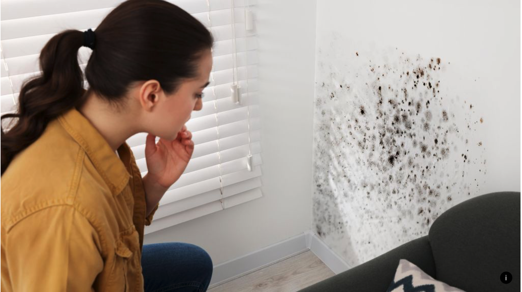 Schimmel an der Wand? Entfernen Sie nicht nur die Flecken – beseitigen Sie die Ursache