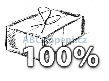 Pojištění zásilky kryje veškerá rizika poškození nebo ztráty zboží při přepravě.