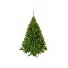 Vianočný stromček Smrek Kaukazský zelený 220 cm