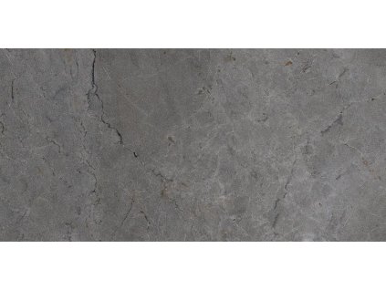 25_bra009.196649372618783