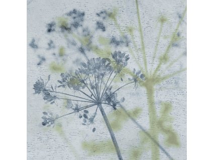 25_heb005.196649372618833