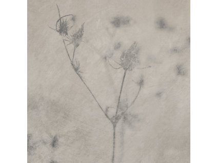 25_heb006.196649372618837