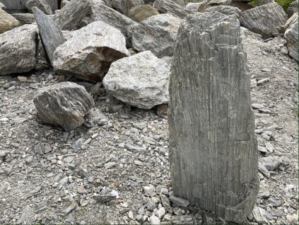 zkamenele drevo 10 50cm 1024x768