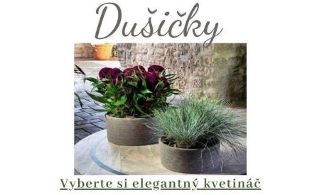 DUŠIČKY