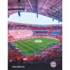 flisova deka allianz arena fc bayern mnchen 130 x 170 cm 1222927