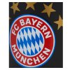 hrncek fc bayern mnchen 0 3 l cierny 2094171