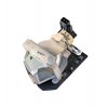 Lampa do projektora Optoma EC300ST
