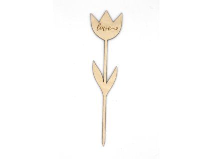 Tulipán - Love