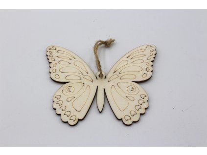 Motýl 2