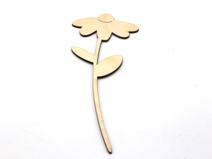 Květina - kopretina