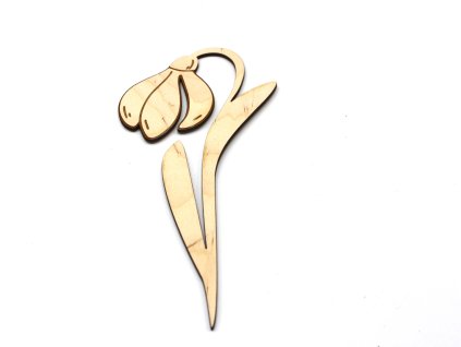 Květina - sněženka